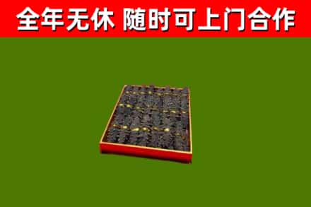 衡山回收海参